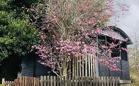 Cherry Tree Gypsy Wagon Sibford Gower